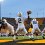 © Jeffrey Becker-USA TODAY Sports
