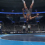 wrestle wrestle wrestle
