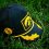 GO HAWKS