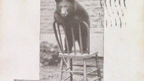 Burch on a Chair