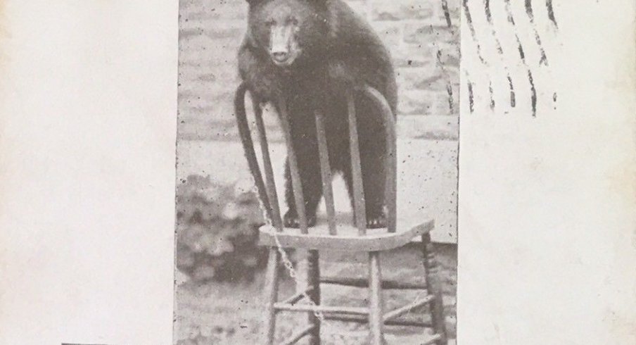 Burch on a Chair