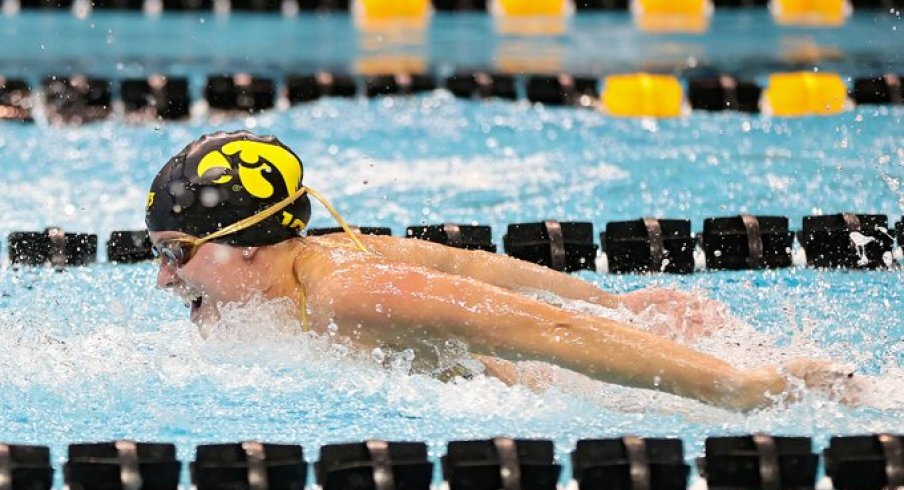 swim hawks swim